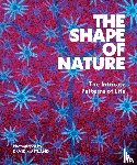 Maitland, David - The Shape of Nature