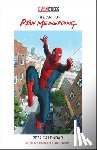 Marvel Entertainment - Marvel Studios: The Art of Ryan Meinerding 2027 Poster Calendar with 12 Prints
