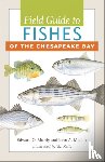 Murdy, Edward O., Musick, John A. (Professor Emeritus - Field Guide to Fishes of the Chesapeake Bay