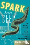 Turkel, William J. (Professor of History - Spark from the Deep