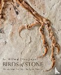 Chiappe, Luis M. (Curator and Director, Qingjin, Meng - Birds of Stone