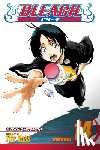 Kubo, Tite - Bleach, Vol. 14