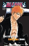 Kubo, Tite - Bleach SOULs. Official Character Book