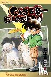 Aoyama, Gosho - Case Closed, Vol. 29