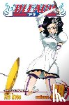 Kubo, Tite - Bleach, Vol. 29