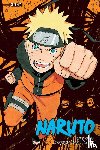 Kishimoto, Masashi - Naruto (3-in-1 Edition), Vol. 13