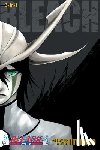 Kubo, Tite - Bleach (3-in-1 Edition), Vol. 14