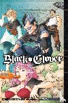 Tabata, Yuki - Black Clover, Vol. 7
