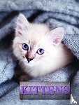 Schneck, Marcus - Kittens