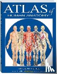 Perez, Vincent - Atlas Of Human Anatomy