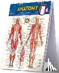 Perez, Vincent - Anatomy Easel