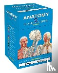 Vincent Perez - Anatomy 2 Flash Cards