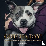 Murray, Greg - Gotcha Day