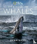 Skerry, Brian - Secrets of the Whales