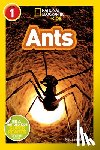 Stewart, Melissa - Ants (National Geographic Kids Readers, Level 1)