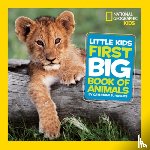 Hughes, Catherine D., National Geographic Kids - Little Kids First Big Book of Animals
