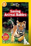 Shields, Amy, National Geographic Kids - National Geographic Kids Readers: Saving Animal Babies