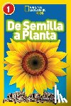 National Geographic Kids, Rattini, Kristin Baird - De Semilla a Planta (L1)