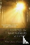 Flamming, Peter James - Healing the Heartbreak of Grief