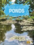 Bender, Douglas - Ponds
