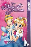 Tanaka, Rika - Disney Manga: Kilala Princess, Volume 3