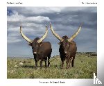 Naudé, Daniel, Ramaphosa, Matamela Cyril - Cattle of the Ages