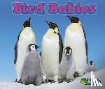 Veitch, Catherine - Bird Babies