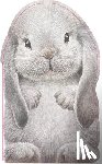 Auerbach, Annie - Furry Bunny
