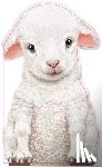 Annie Auerbach - Furry Lamb