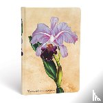 Paperblanks - Brazilian Orchid Mini Unlined Hardcover Journal