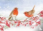  - English Robins in Winter Deluxe Boxed Holiday Cards (20 Cards, 21 Self-Sealing Envelopes)
