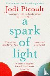 Picoult, Jodi - A Spark of Light