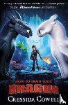 Cowell, Cressida - How to Train Your Dragon FILM TIE IN (3RD EDITION)