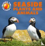 Hibbert, Clare - Beside the Seaside: Seaside Plants and Animals