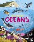 Richards, Jon - The Big Picture: Oceans