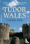 Amin, Nathen - Tudor Wales