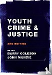  - Youth Crime and Justice