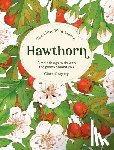 Gogerty, Clare (Author) - The Little Wild Library: Hawthorn