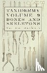 Various (selected by the Federation of Children's Book Groups) - Taxidermy Vol.9 Bones and Skeletons - The Collection, Preparation and Mounting of Bones
