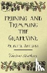 Various (selected by the Federation of Children's Book Groups) - Pruning and Trimming the Grapevine - Selected Articles