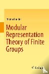 Schneider, Peter - Modular Representation Theory of Finite Groups