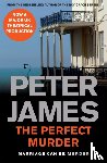 James, Peter - The Perfect Murder