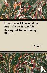 Anon. - Educating and Rearing of the Bird - Tips to Successfully Raising and Training Young Birds
