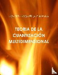 JOGLAR ALCUBILLA, JAVIER - TEORIA DE LA CUANTIZACION MULTIDIMENSIONAL