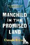 Brown, Claude - Manchild in the Promised Land