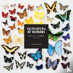 Ream, Julie - Encyclopedia of Rainbows