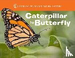 American Museum of Natural History, Stewart, Melissa - Caterpillar to Butterfly