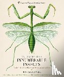Engel, Michael S. - Innumerable Insects