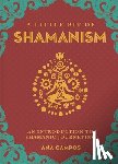Campos, Ana - Little Bit of Shamanism, A