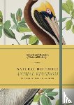 American Museum of Natural History - Natural Histories Animal Kingdom 12-Month 2025 Planner